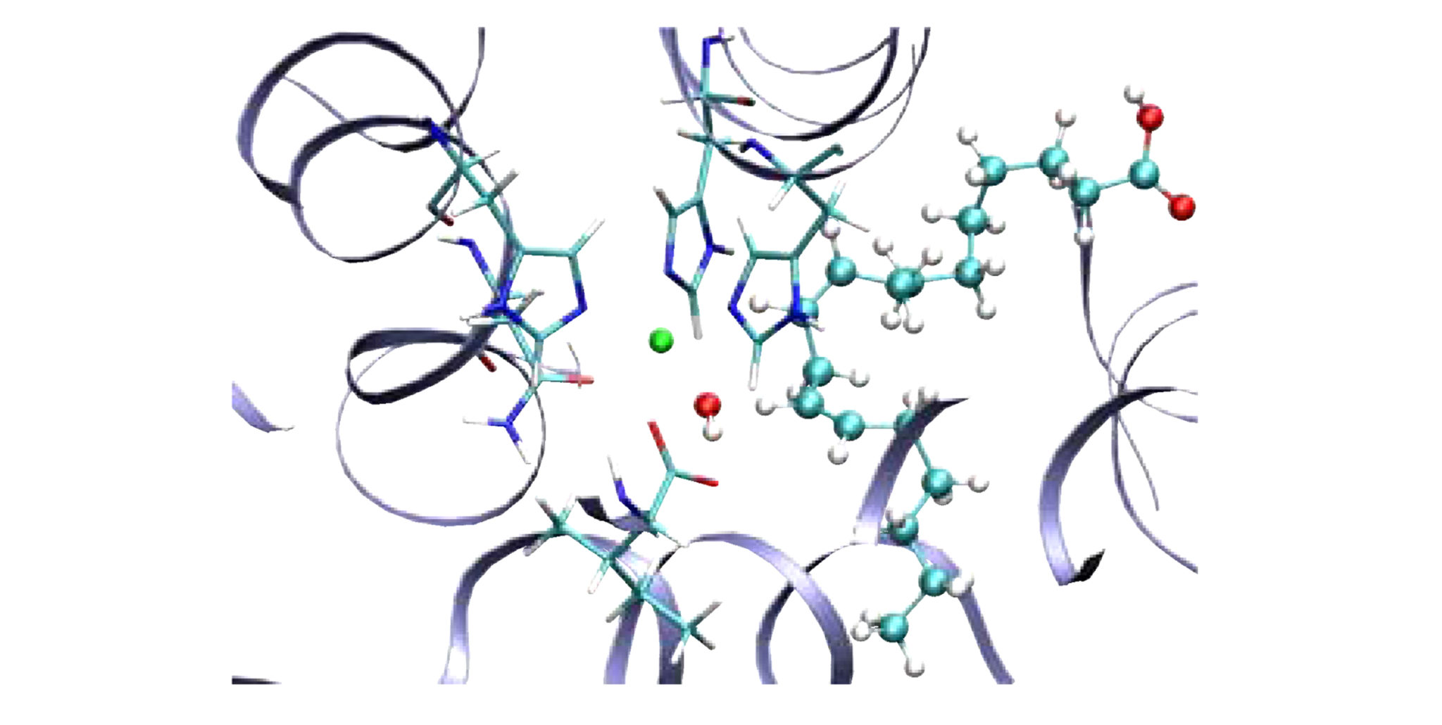 hydrogen transfer reactions